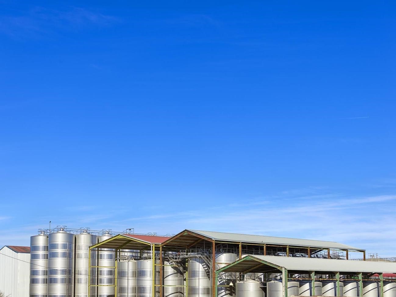 Castilla-La Mancha Breaks Export Records